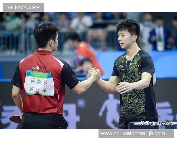 2019卡塔尔乒乓球公开赛精彩对决马龙与波尔的巅峰较量回顾